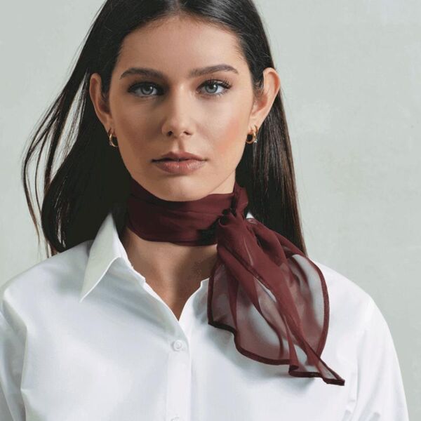 LADIES COLOURS CHIFFON SCARF Thumbnail