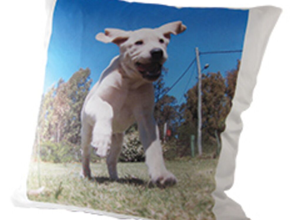 Housewares Thumbnail